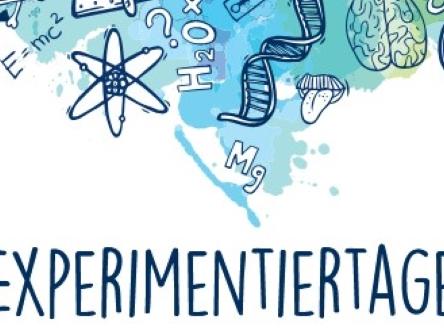 am Arnoldinum begeistern junge Nachwuchsforscher